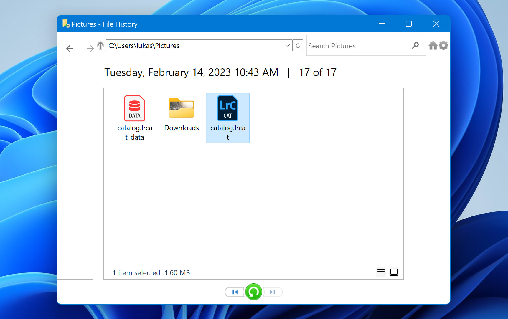 An LRCAT file in Windows File History.