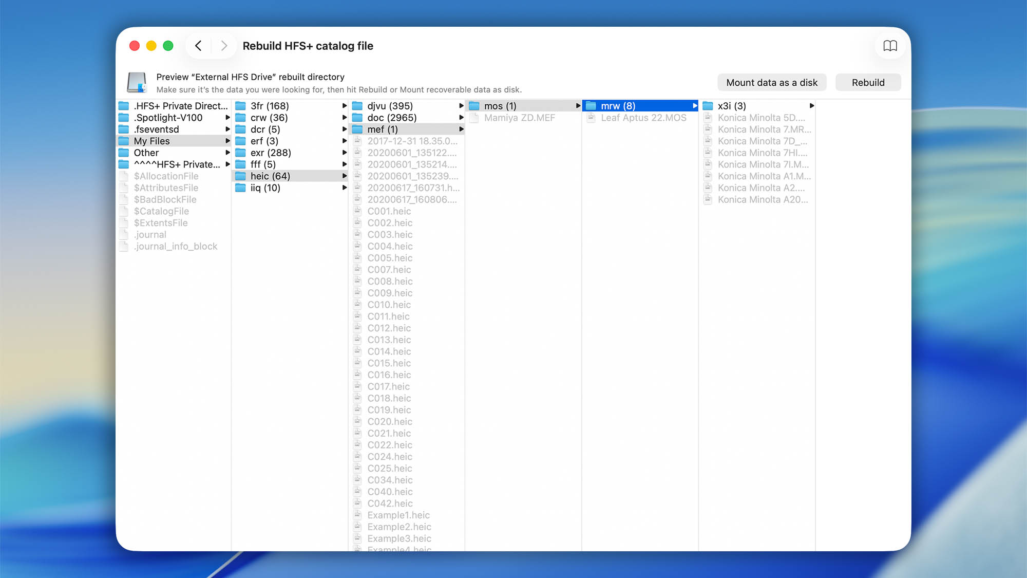 rebuild a corrupted catalog directory disk drill mac step 03