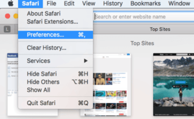 Safari Browser