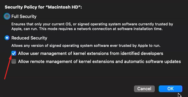 allow kernel extensions apple silicon