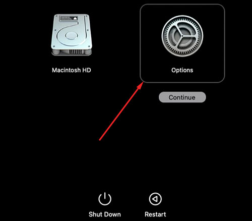 reboot apple silicon in recovery mode