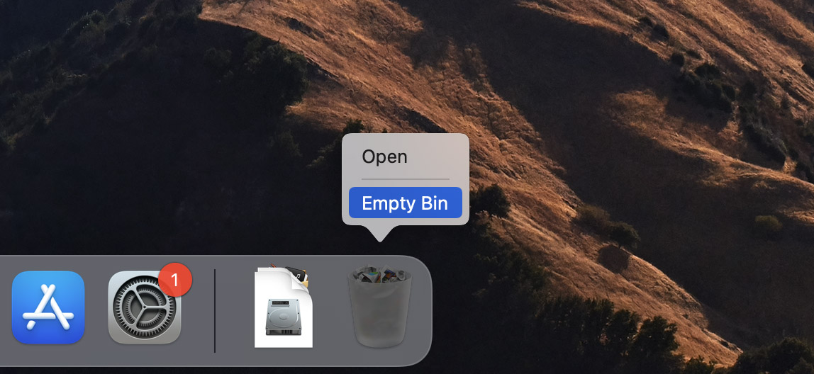 empty your bin