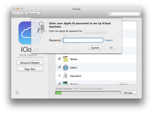 iCloud keychain app