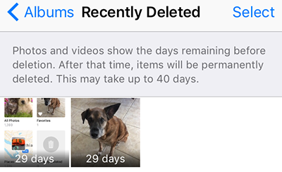 get deleted pictures back from Recently Deleted folder on iPhone