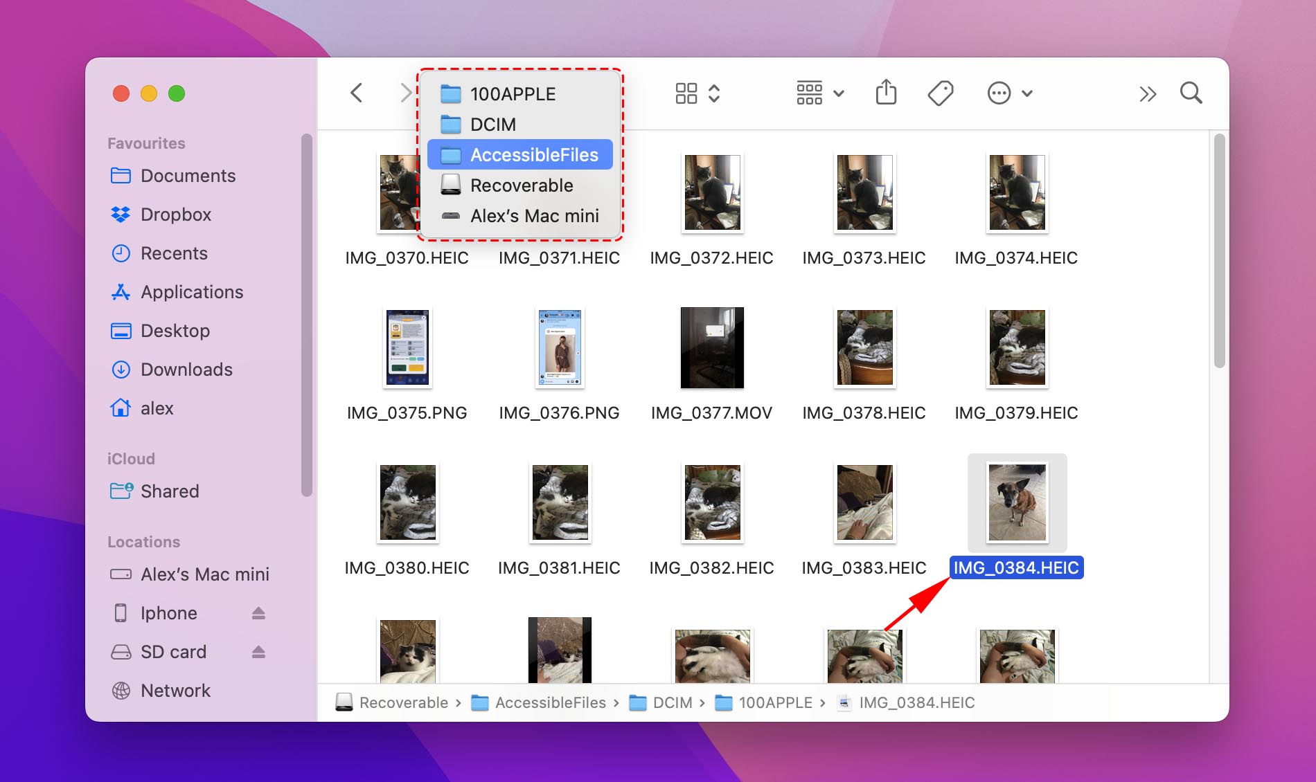 recover deleted pictures iphone
