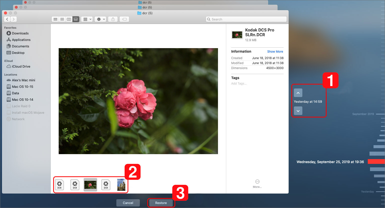 how to get back deleted pictures