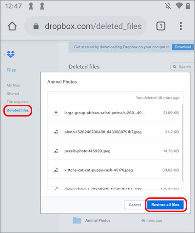 undelete photos with Dropbox backup