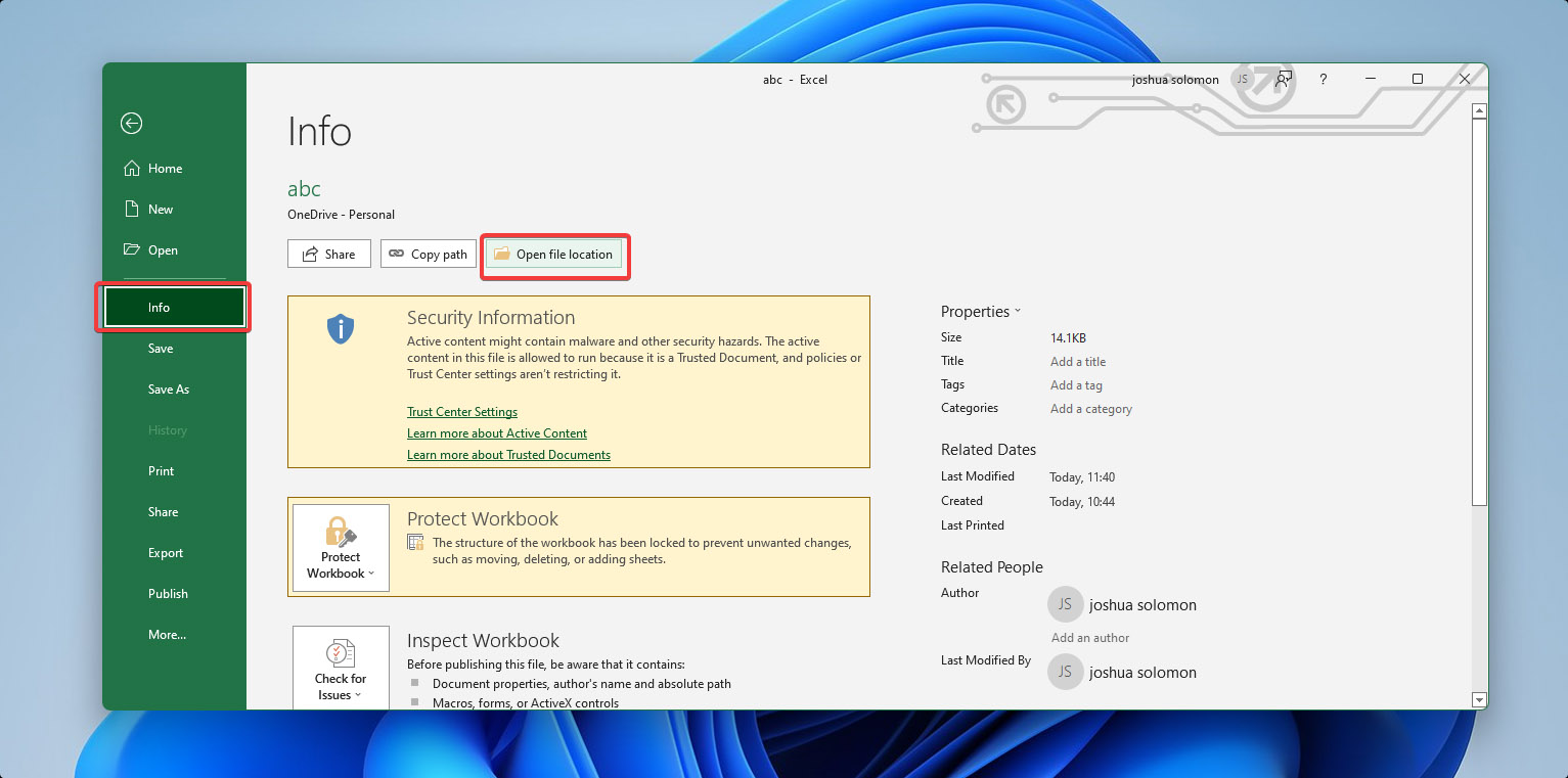 accessing the location of one drive excel file