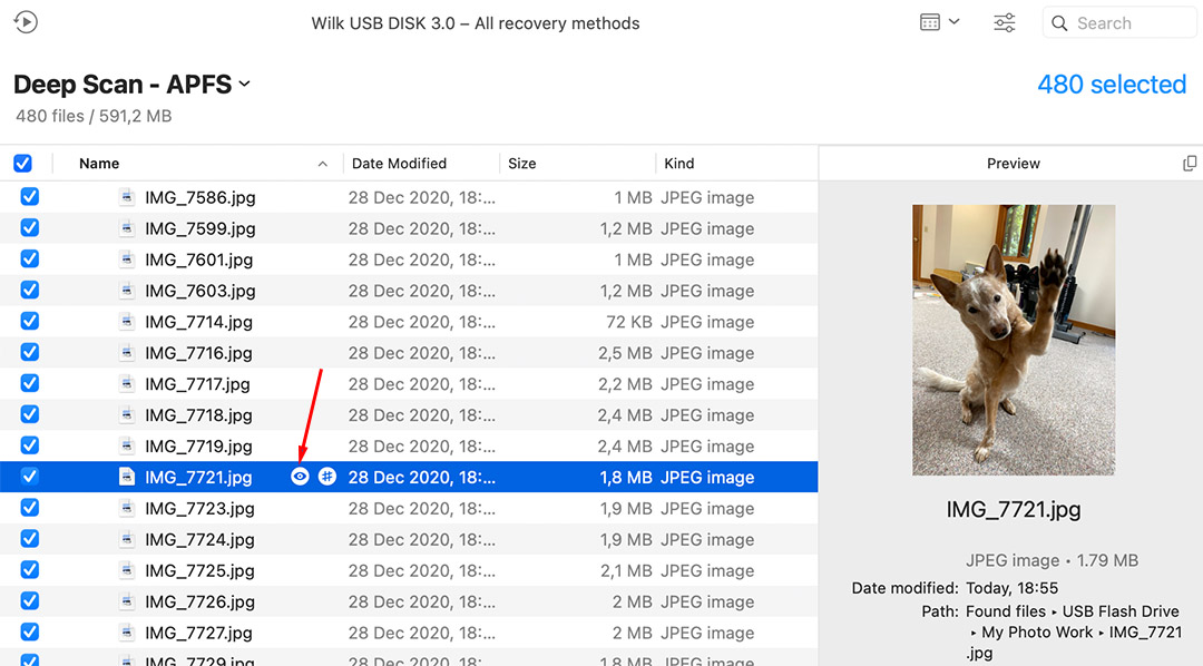 rm restore in disk drill