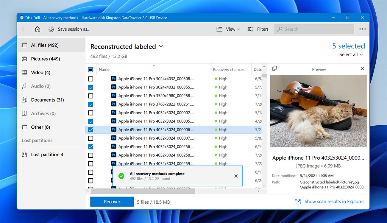 Rreview and recover deleted files.