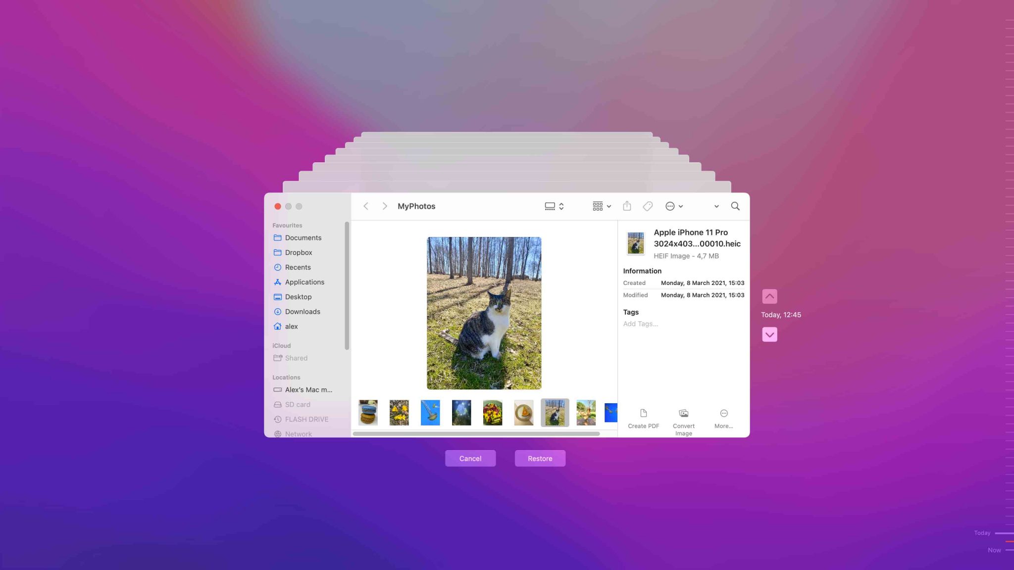 how to recover deleted trash bin mac how to recover deleted trash bin mac