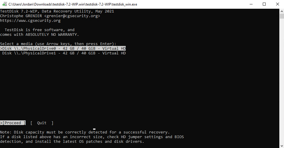 The primary Test Disk interface.