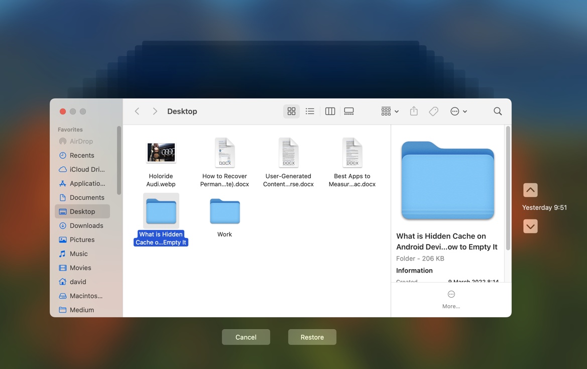 time machine folder restore