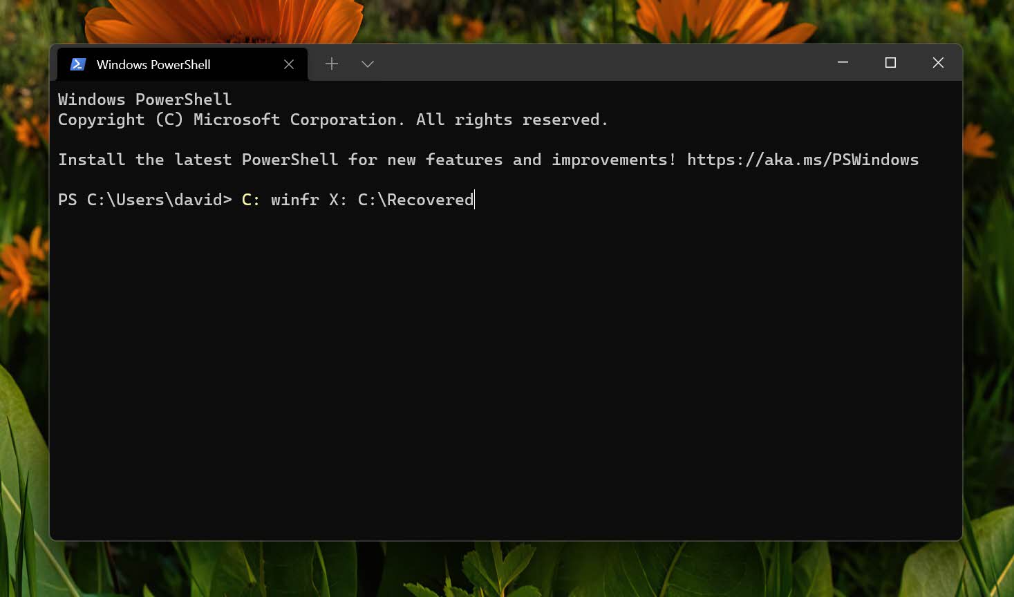 windows file recovery windows 11 terminal