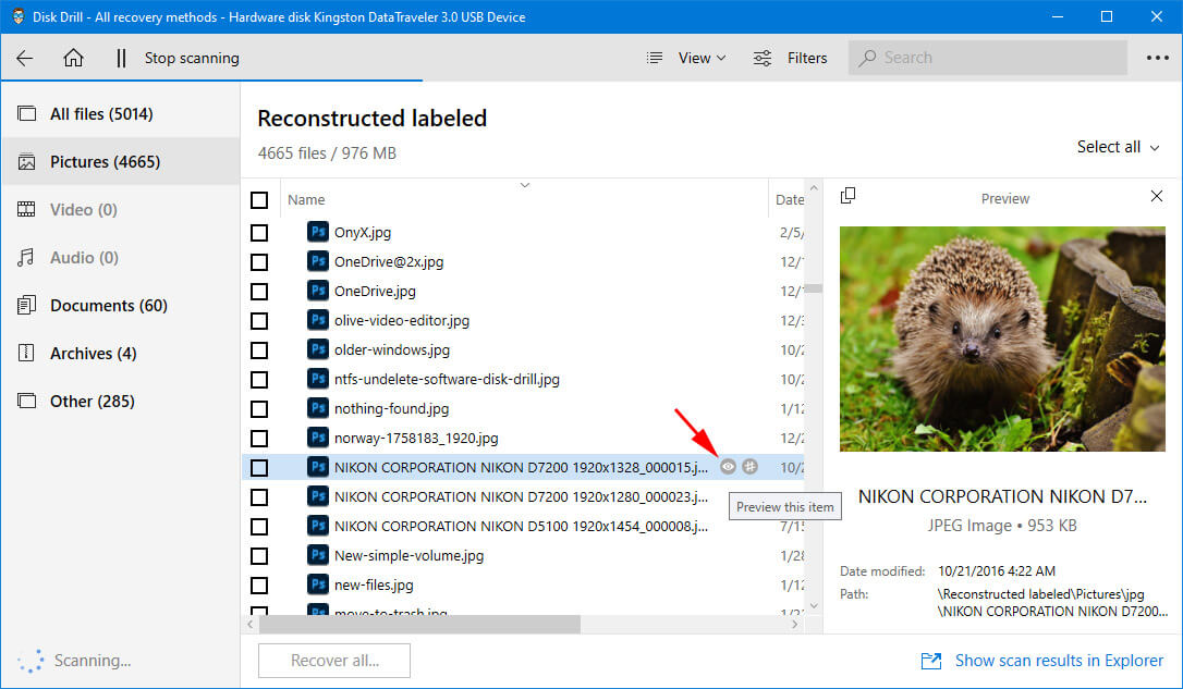previewing files in disk drill on windows