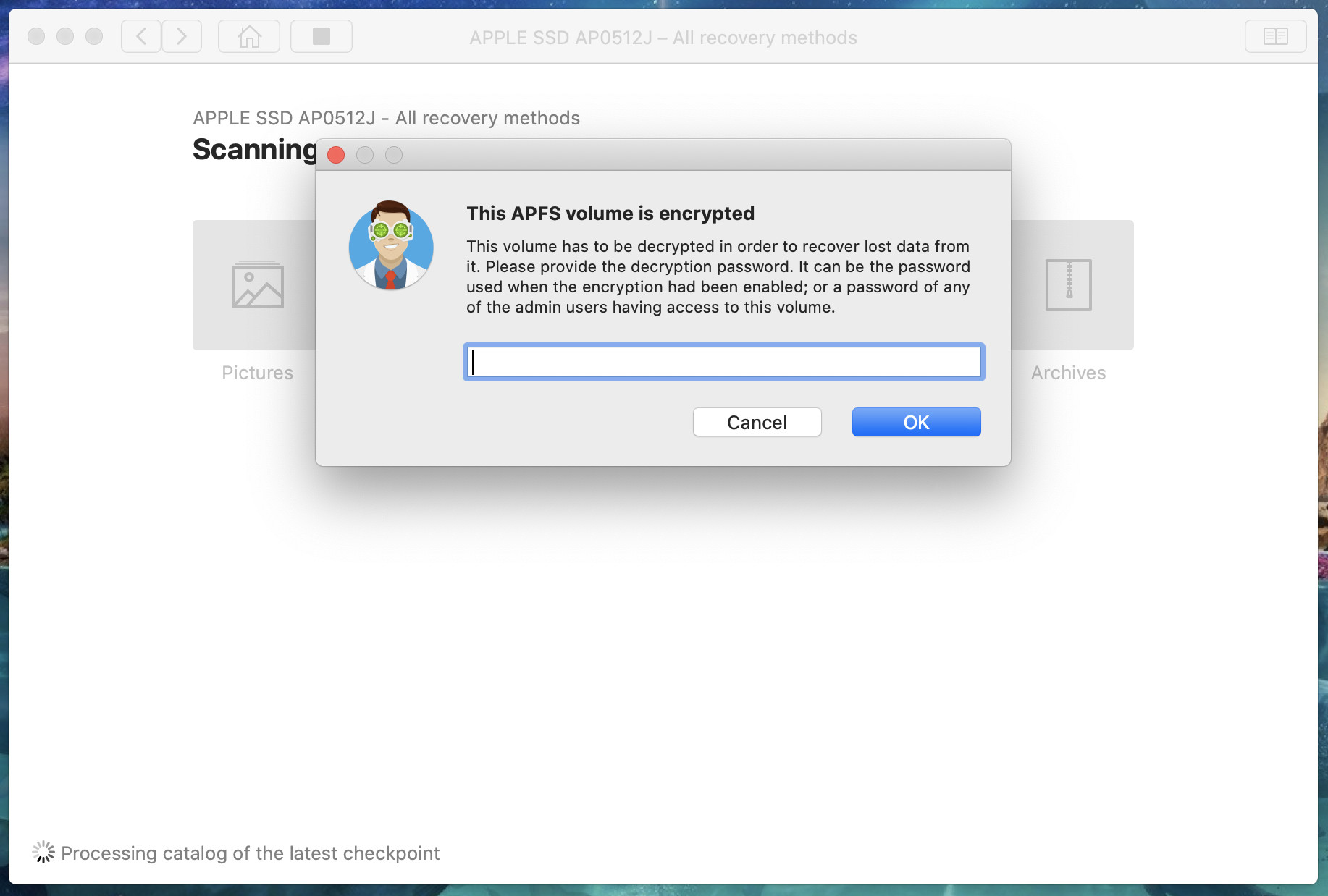 You must type your decryption password before continuing on.