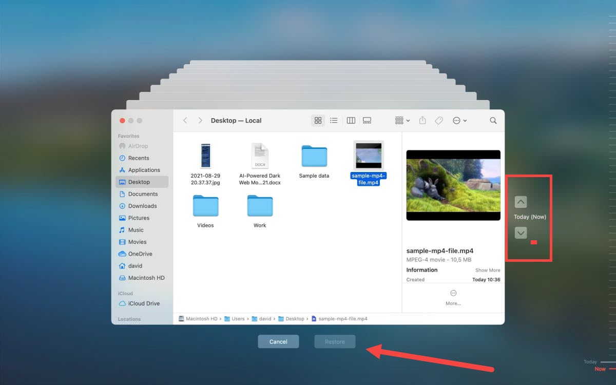 time machine video recover macos 
