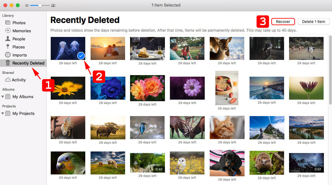 restore photos from recently deleted folder in Photo app