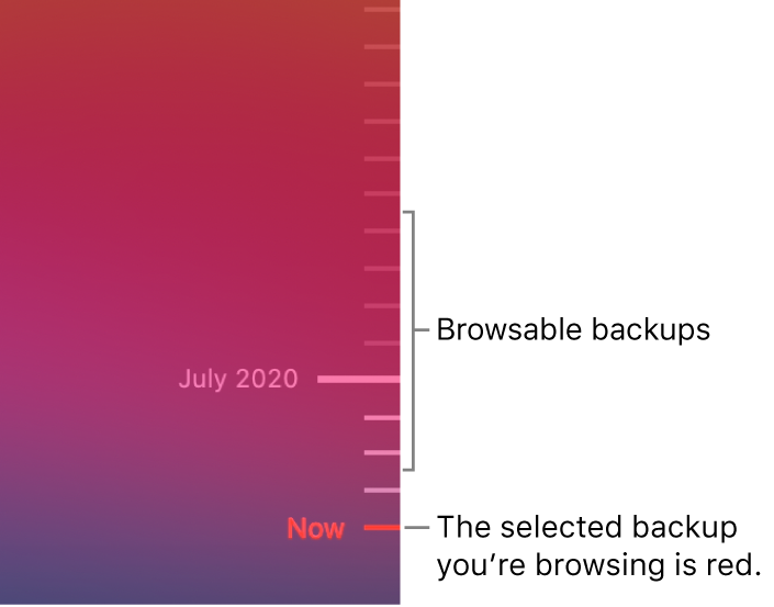 time machine timeline