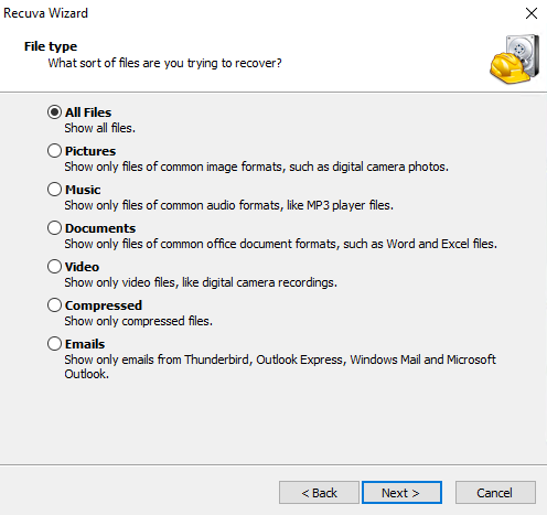 Selecting all file types for recovery