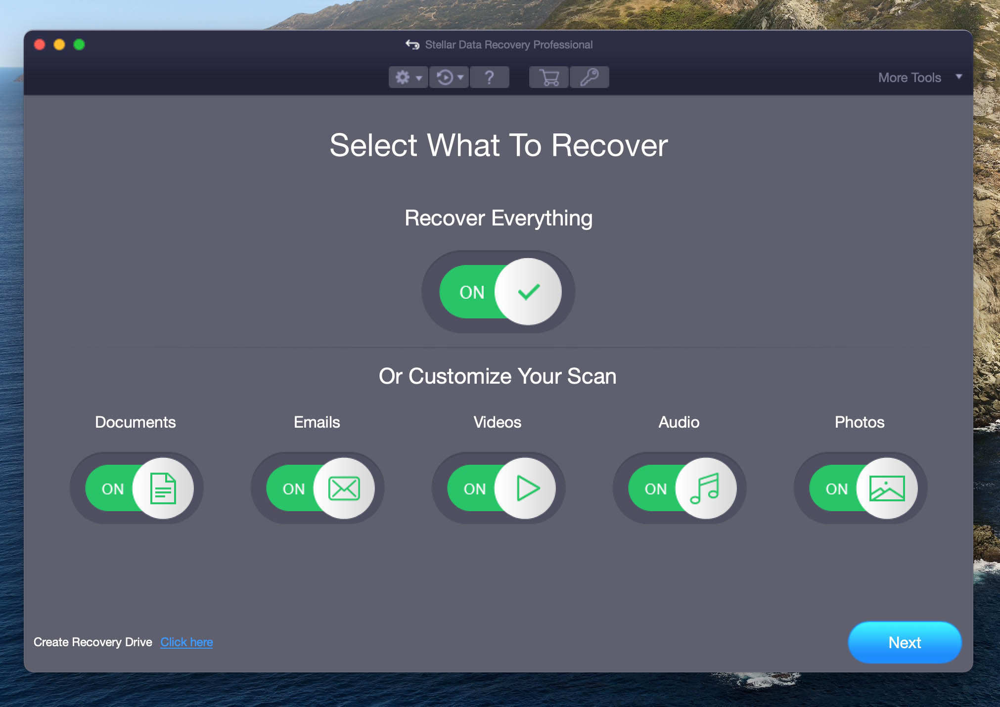 stellar data recovery professional home screen