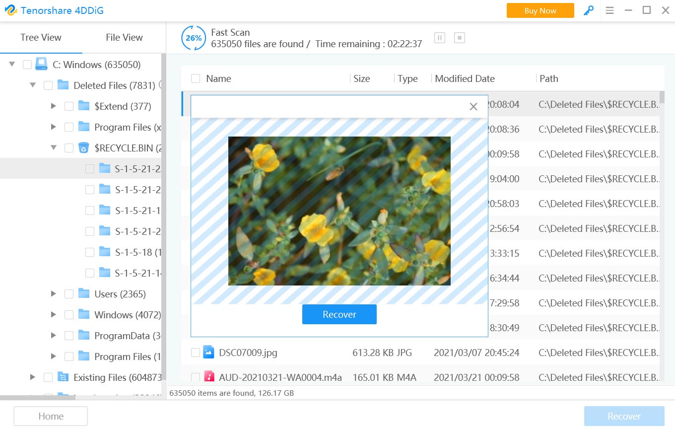 previewing files before data recovery