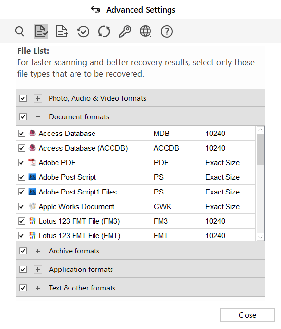 Advanced Settings Window showing a list of file formats