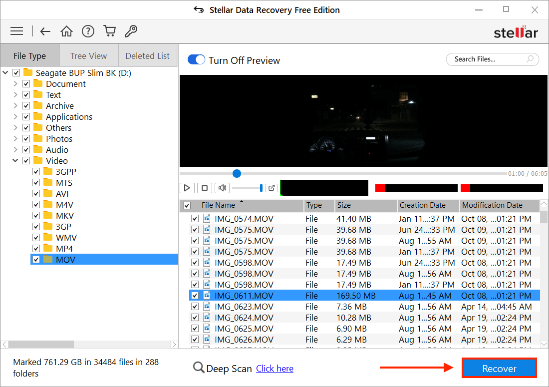 Stellar Preview Window showing a recovered video