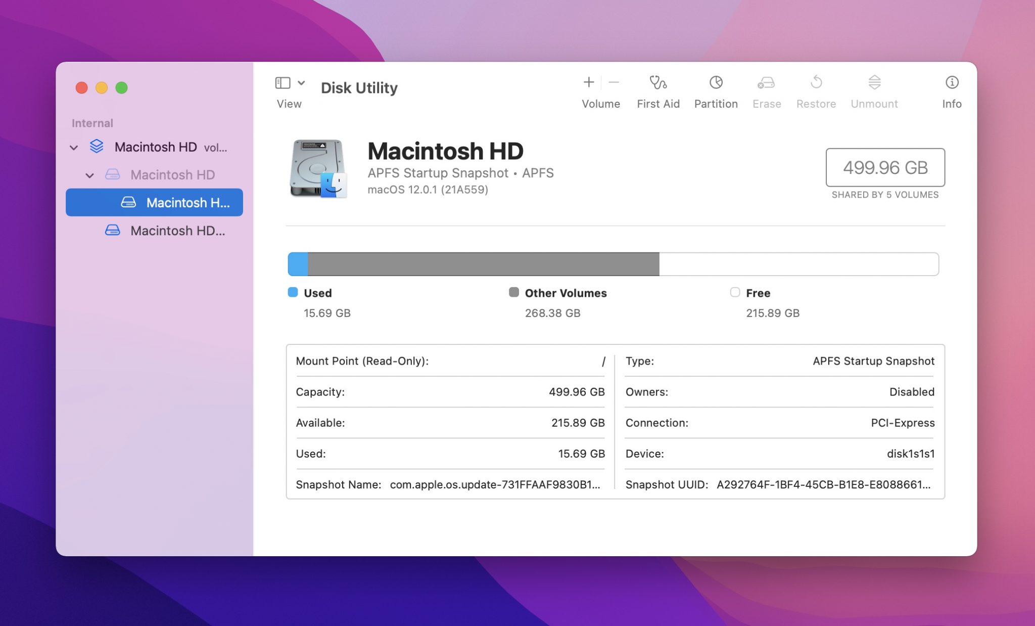 storage volumes in disk utility