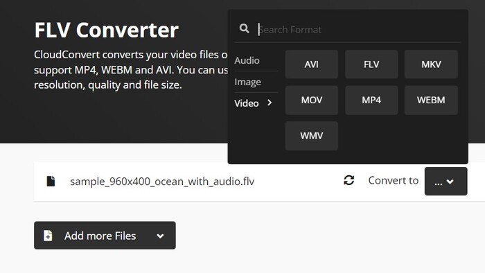 flv cloudconvert convert to