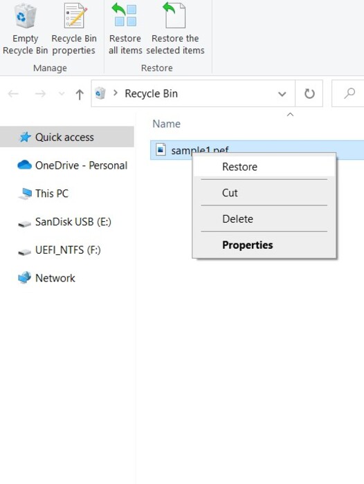 PEF recycle bin restore