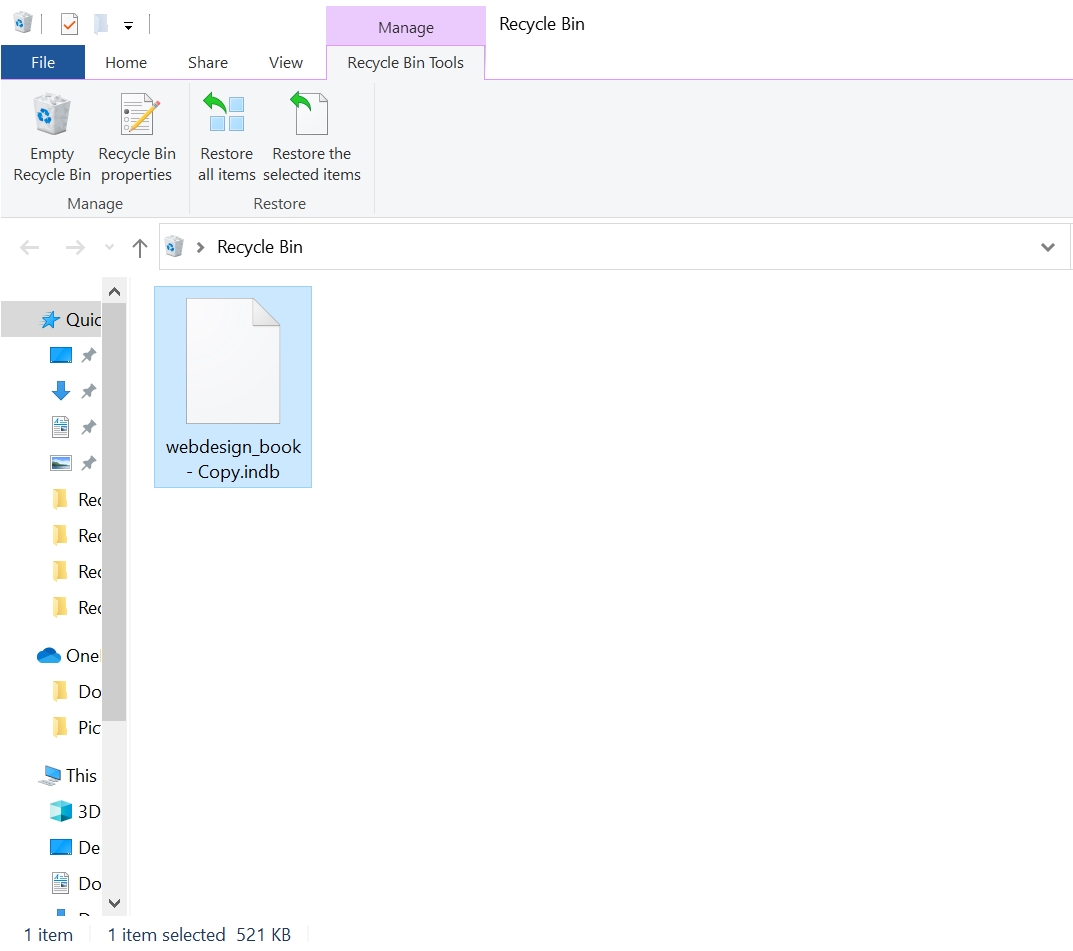 An INDB file in the Windows Recycle Bin.