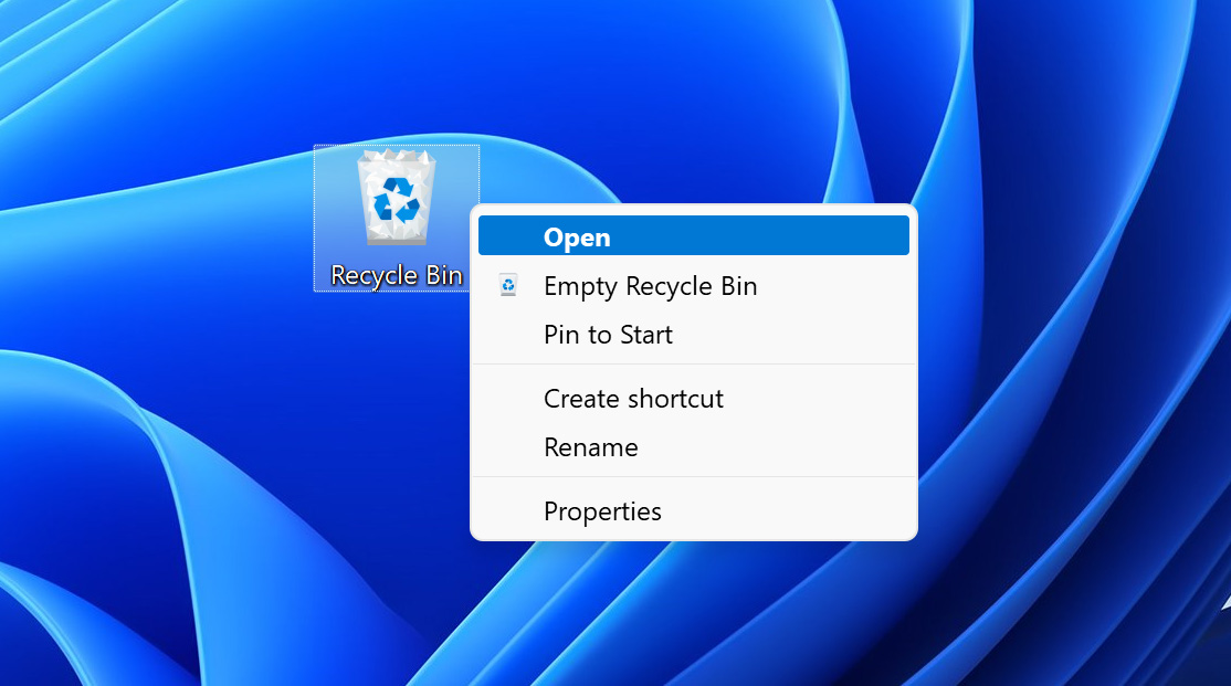 open recycle bin