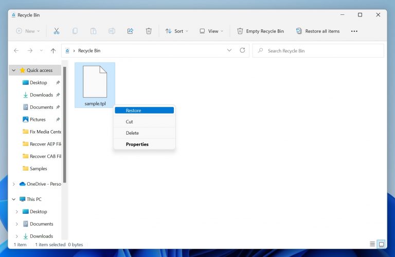 What Is a TPL File Extension & How to Recover Deleted TPL Files