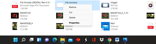 recycle bin data recovery