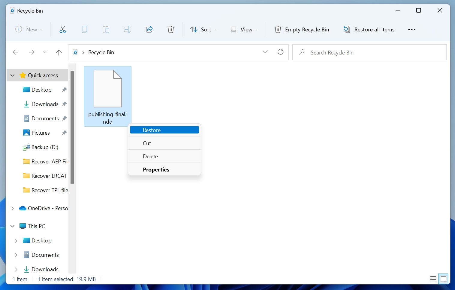 An INDD file in the Windows Recycle Bin.