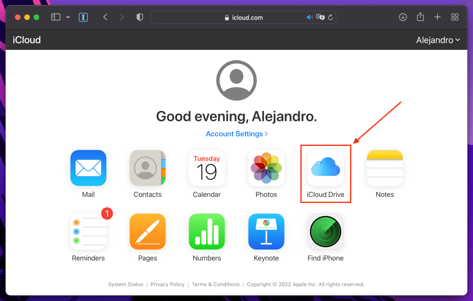 iCloud Drive app in the iCloud website