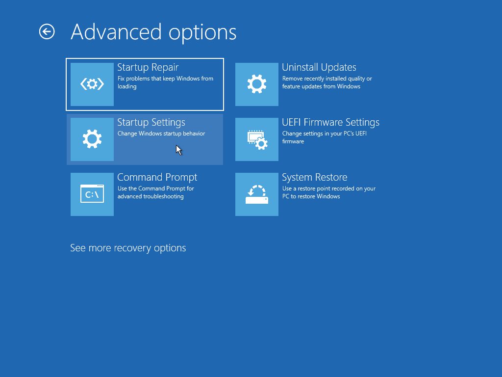 Windows 11 Advanced Options Startup Settings