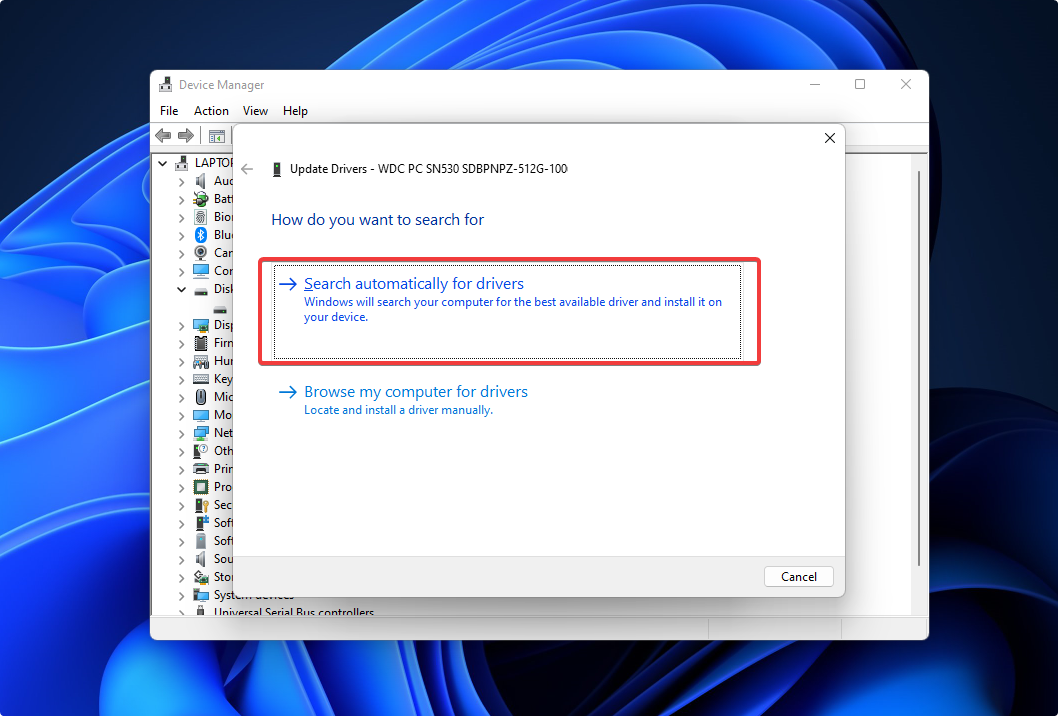 searching for drive updates