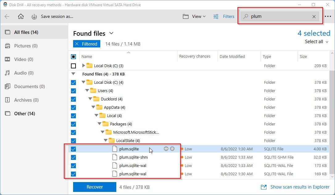 Disk Drill Located Plum File