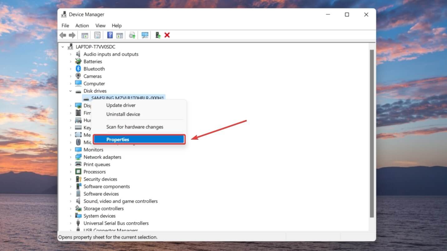 disk manager properties