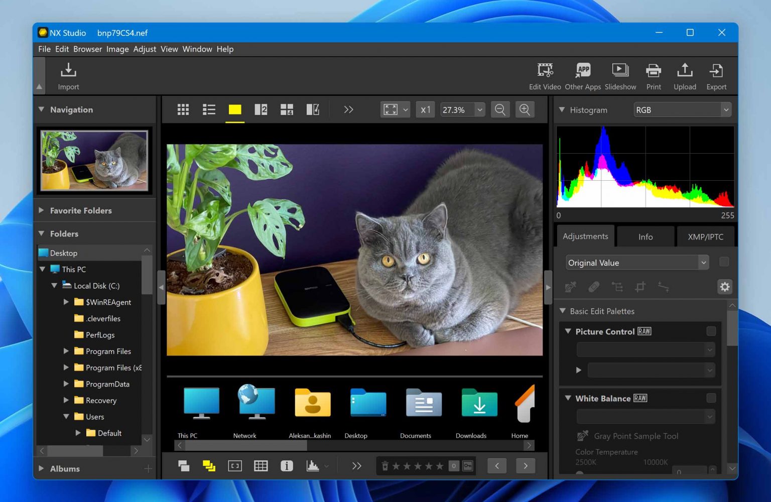 What Is NEF File Format & How To Recover NEF Files