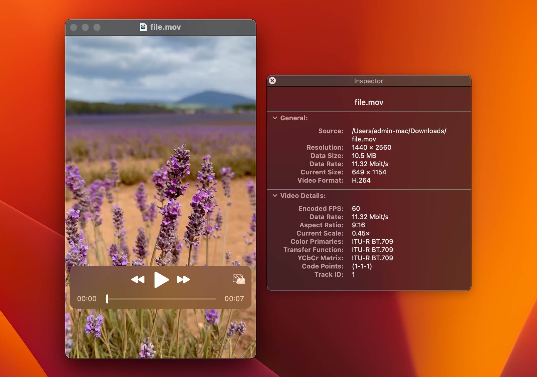 Check mov file details in QuickTime player.