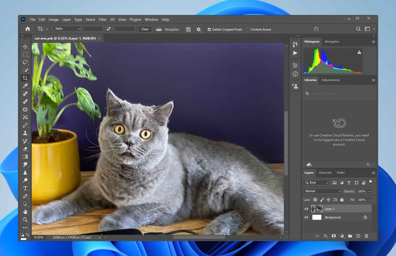 What is PSB File Type How‌ ‌to‌ ‌Recover‌ ‌Deleted‌ PSB ‌Files‌
