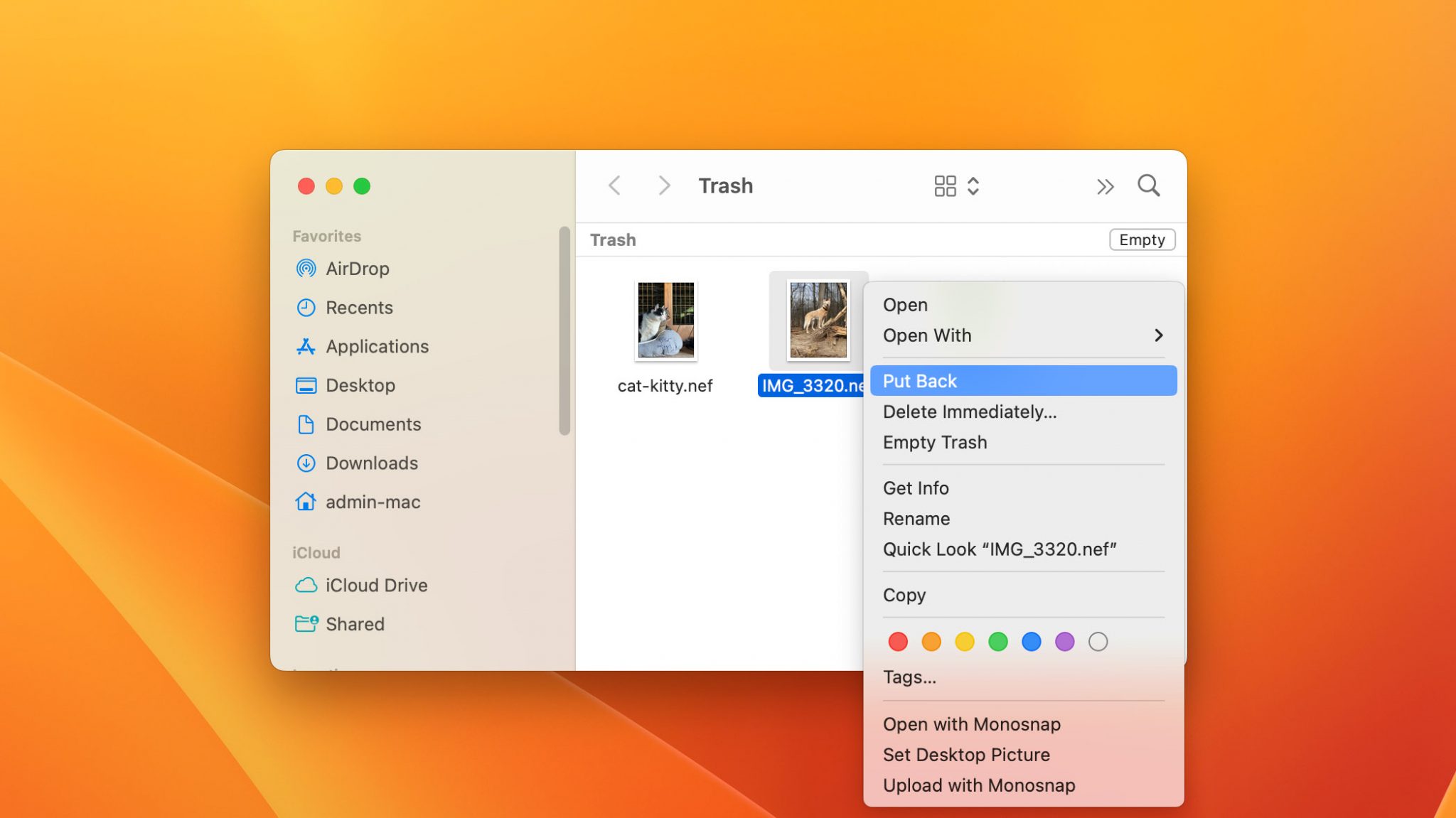 What Is NEF File Format & How To Recover NEF Files