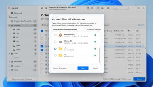 What Is NEF File Format & How To Recover NEF Files