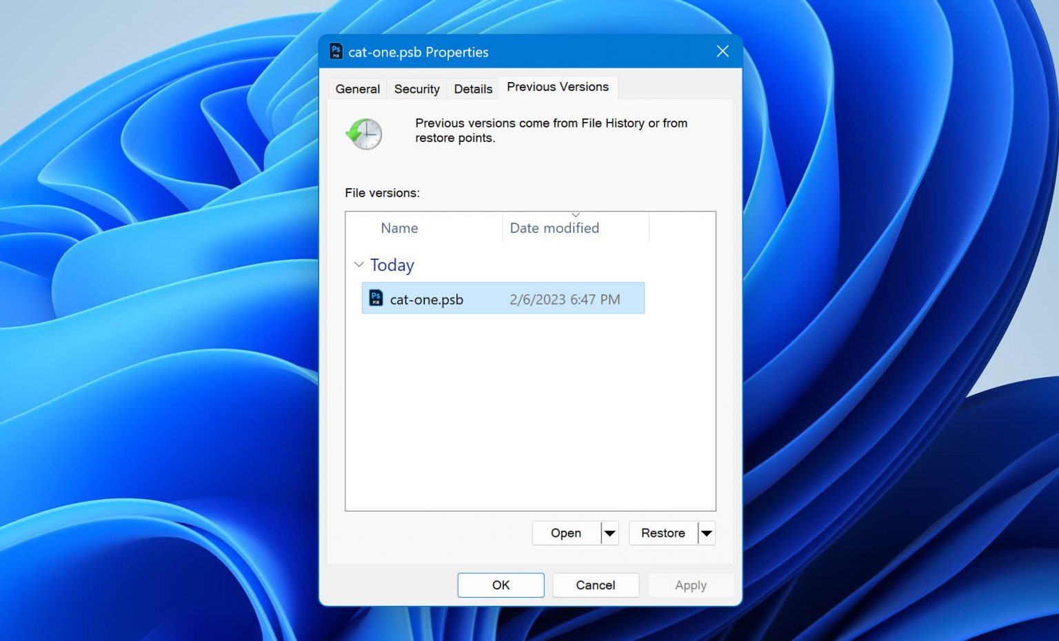 What is PSB File Type How‌ ‌to‌ ‌Recover‌ ‌Deleted‌ PSB ‌Files‌