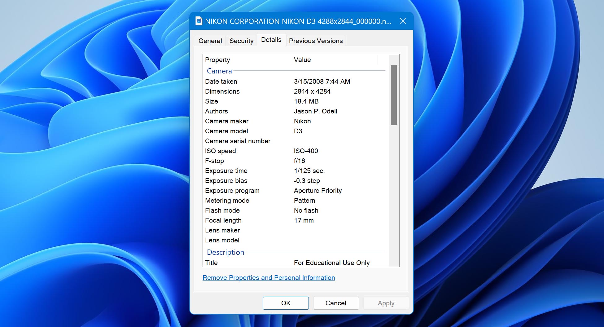 What Is a NEF File Format