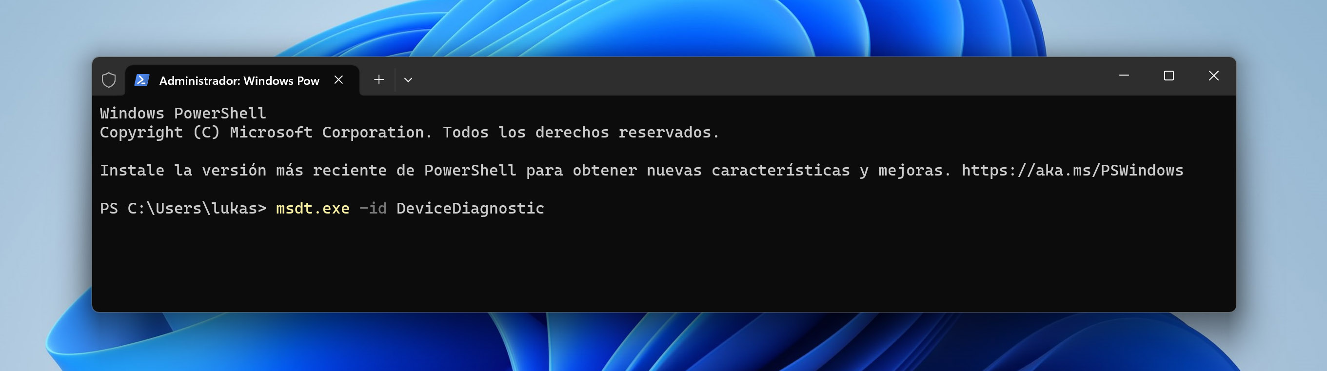 ejecutar la utilidad de diagnóstico desde cmd