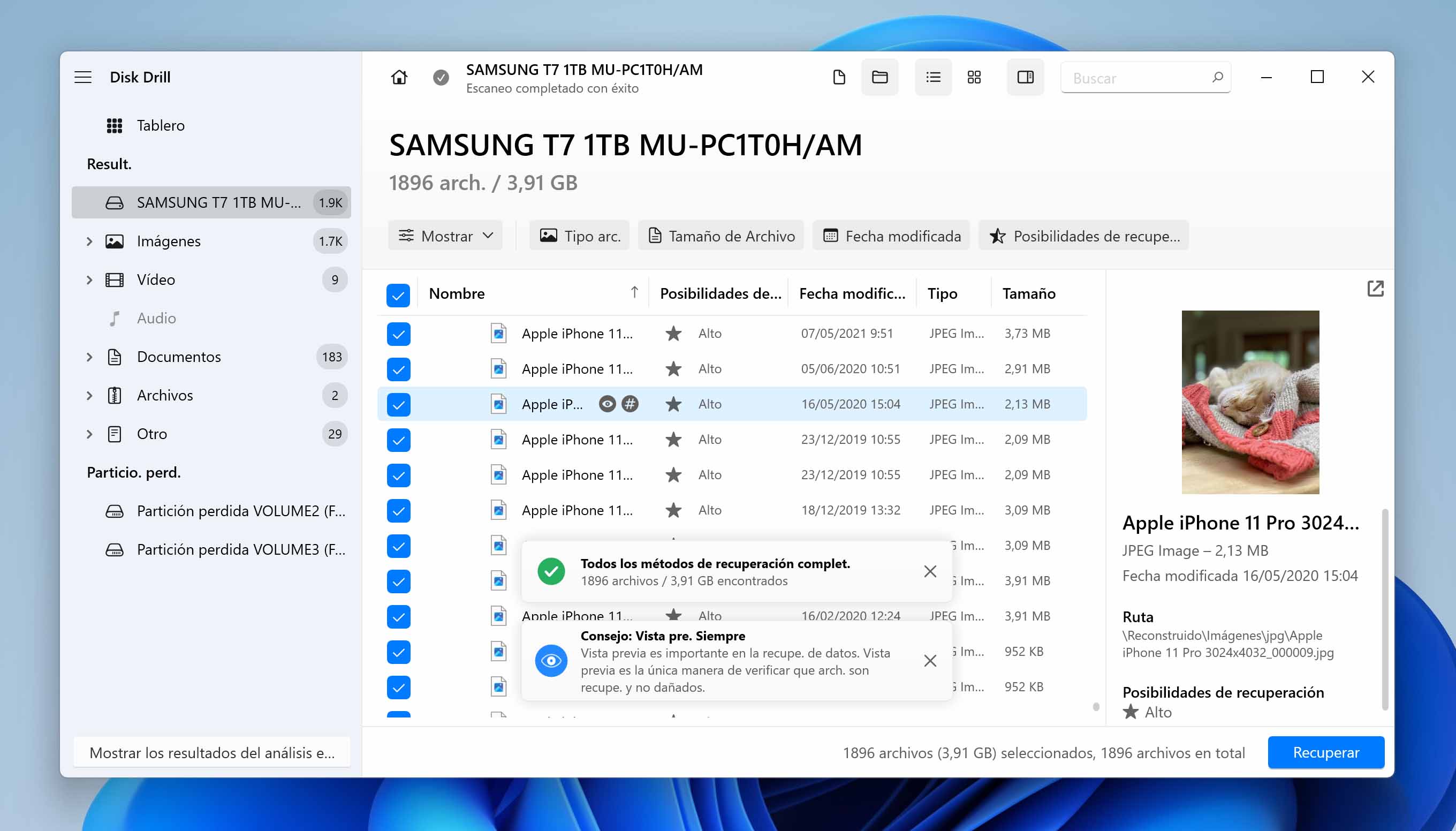 Previsualiza los archivos que quieres recuperar